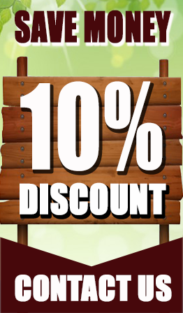 coupon 10% discount