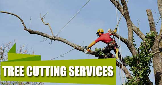 Tree Cutting Services